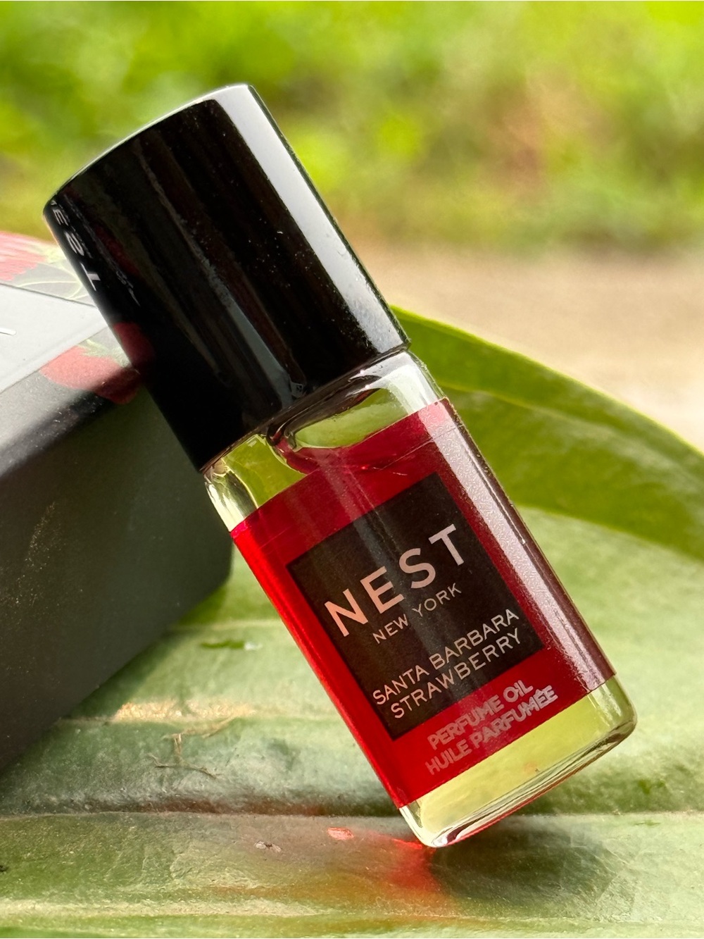 NEST - Santa Barbara Strawberry